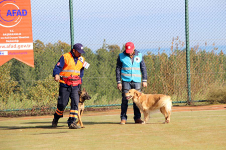 afad’in-actigi-sinavi-gecen-kopekler,-sertifika-alacak1.jpg