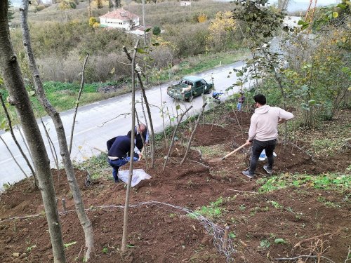 findik-bahceleri-‘rehabilite’-ediliyor-(3).jpg