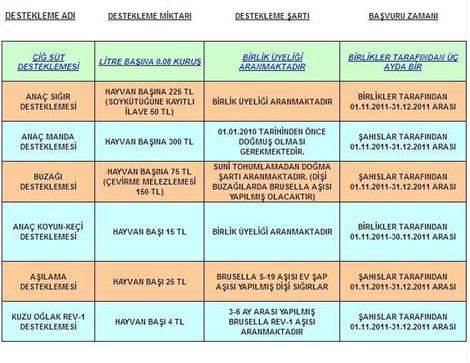 hayvancilik-desteklemeleri1-(custom).jpg