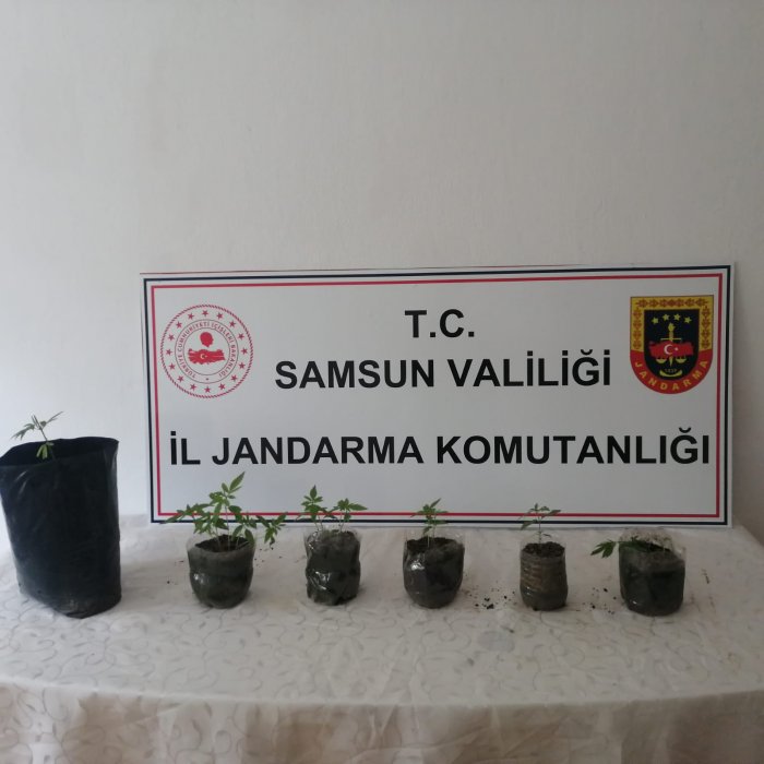 jandarma-adeta-and-icti!-10-gunde-5-operasyon-(5).jpg