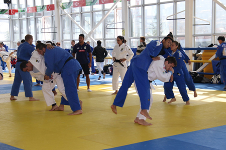 judohaber.jpg