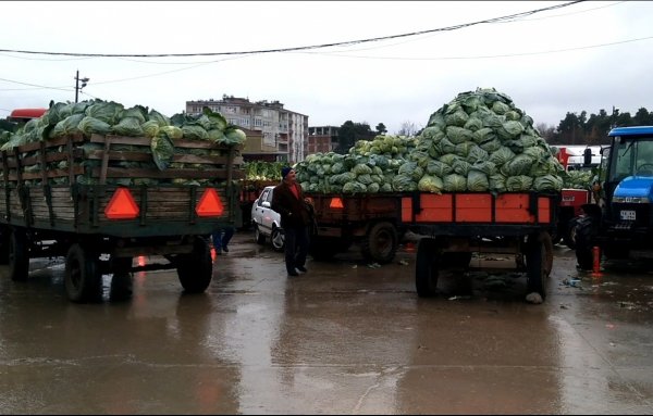 kislik-sebze-ureticileri-pazar-sorunu-yasiyor.jpg