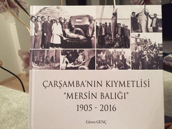 mersin-baliginin-tarihi-carsamba’da-yazildi-(2).jpg